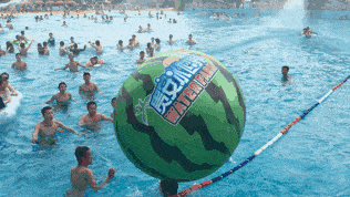 冲浪高手在吃瓜