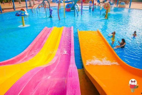 冲浪高手在吃瓜