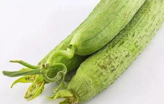 河北有什么瓜可以吃,河北特色瓜果品鉴之旅