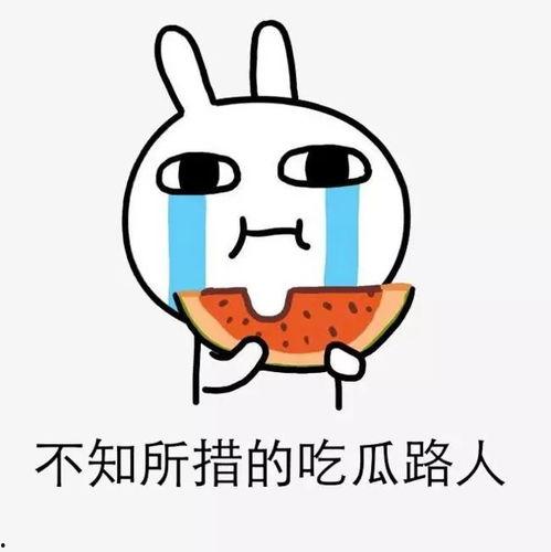 吃瓜不忘买瓜人电影,揭秘电影背后的瓜田奇缘