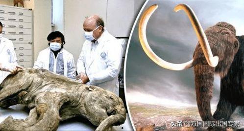 远古中学吃瓜事件,揭秘校园里的“瓜田”风云