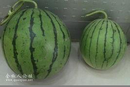 吃瓜影视图片,一图览尽热门剧集幕后故事