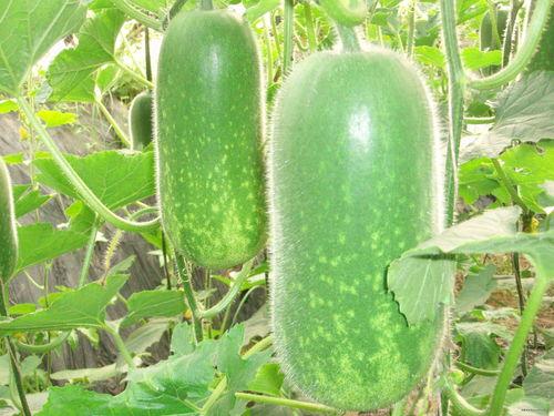 824吃瓜链接,热点背后真相揭晓