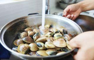 吃蛤蜊可以吃哈密瓜吗,跨界美食搭配探索