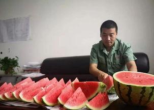 浪漫的人吃瓜群众,揭秘娱乐圈甜蜜瓜皮背后的故事