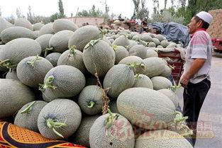 哈密瓜奶油怎么吃,哈密瓜奶油的多重美味吃法探索