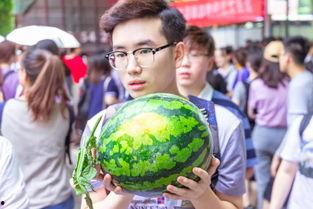 吃瓜叔叔大龙凤,揭秘娱乐圈的甜蜜风暴